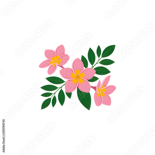 A beautiful illustration of pink plumeria flowers with green leaves arranged in a decorative cluster isolated on white background