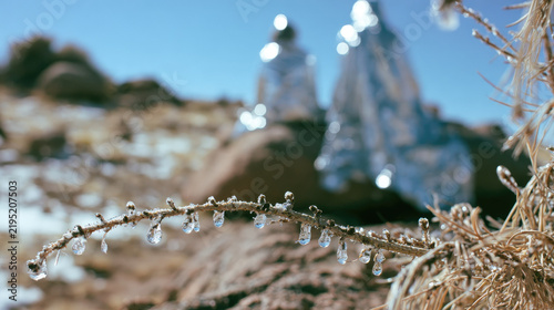 Frosted pine branch with melting ice droplets before blurred snow covered mountain peaks and blue sky