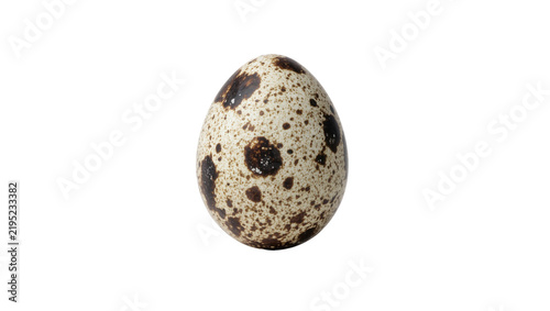 Obraz na płótnie Single speckled quail egg with brown spots, isolated on transparent background