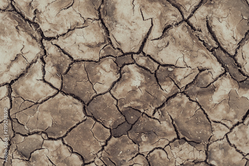 Quadro su tela Cracked Dry Earth Surface