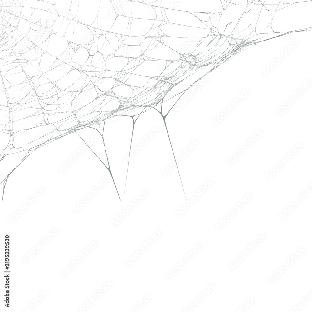 Foto Spider web corner isolated on transparent background