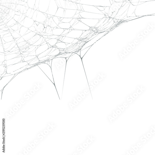 Konstfotografi Spider web corner isolated on transparent background
