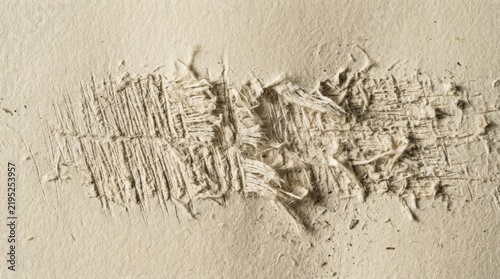 Foto Torn paper with frayed edges displays a damaged texture on a neutral background
