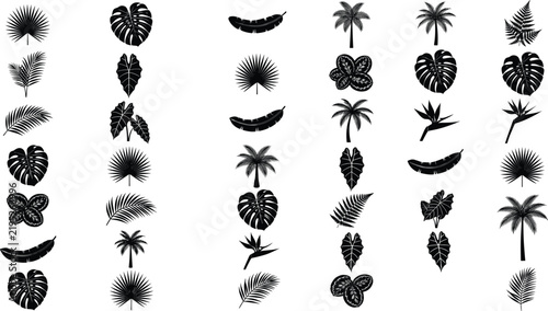 Collection of various black ink brush stroke leaf shapes isolated on transparent background