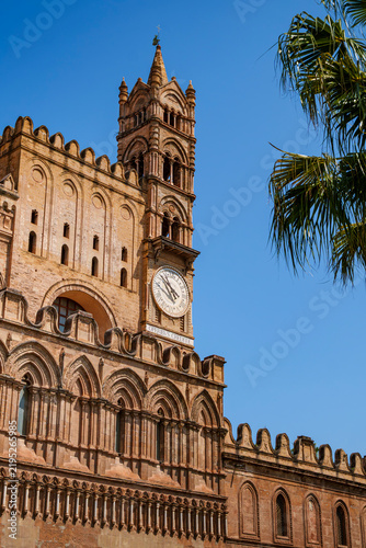 Palermo Cathedral Gothic clock tower with palm tree, Sicily, Italy