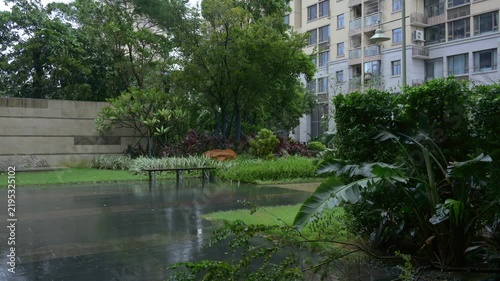 Residential community garden in rainy and windy day with wet pavement and lush tropical plants video with sound