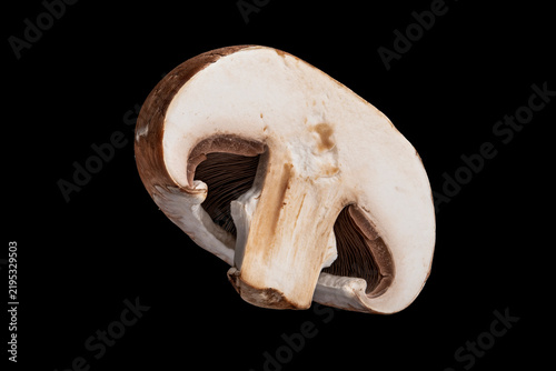 Canvastavla A detailed cross section of a fresh brown cremini mushroom isolated on a solid b