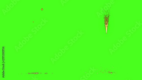Green Screen Scattered Sparkles and Floating Particles. Golden glowing dust and small sparkles drifting on green screen background for compositing and overlays