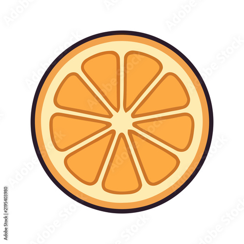 Fresh citrus slice and zest on white background