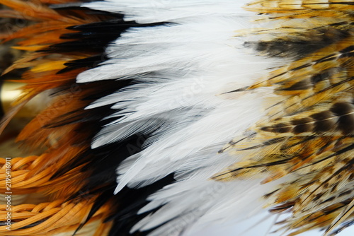 Macro close-up of feathers, very beautiful.