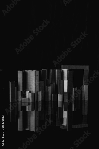 Fotografie Black-and-white forest floor, quiet and textured