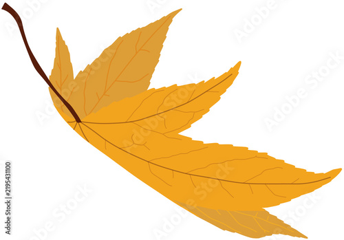 Yellow Autumn Maple Leaf Fall Foliage Seasonal Decorative Graphic Element