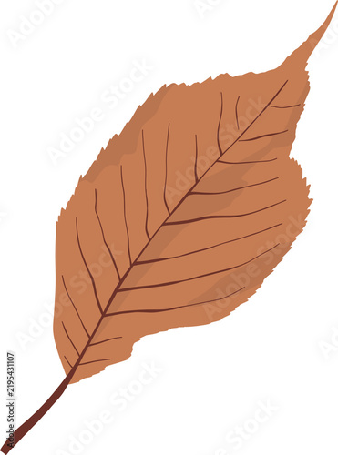Autumn Leaves Fall Foliage Seasonal Decorative Graphic Element