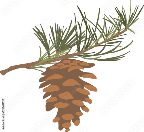 Pine Cone Pine Branch Winter Christmas Nature Decorative Graphic Element