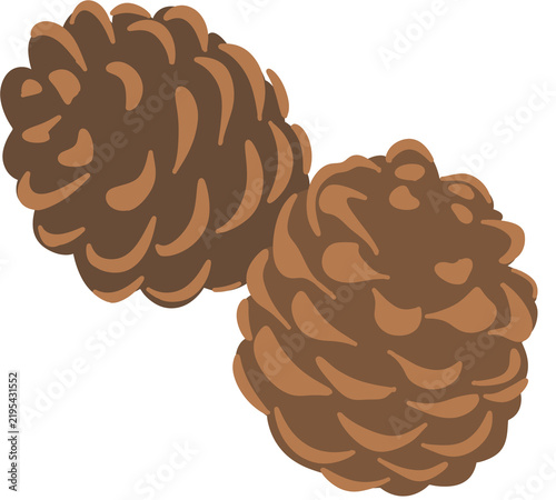 Pine Cone Winter Nature Christmas Seasonal Decorative Graphic Element