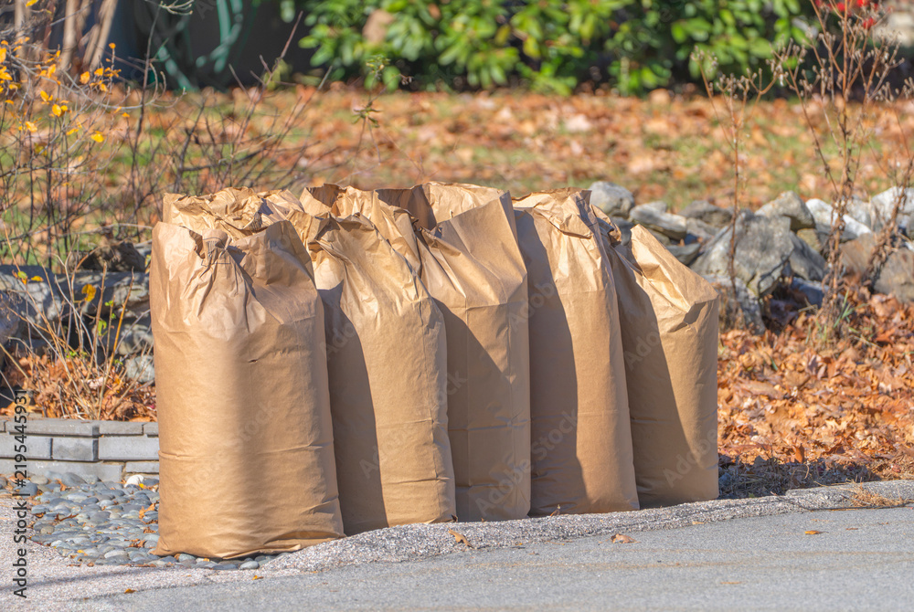 Obraz premium fallen leaves collected in recycle paper bag in autumn for curbside recycling
