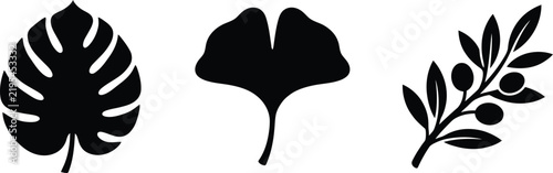 Botanical leaves silhouette vector icon set featuring monstera ginkgo biloba and olive branch designs