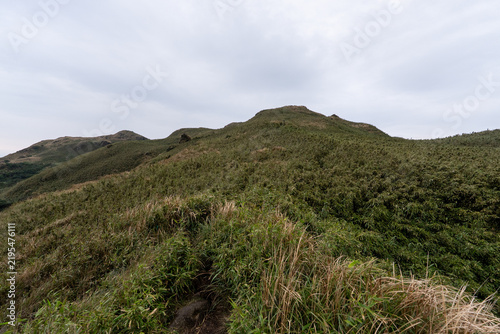 Hiking trail leading to the peak of Mount Qixing, Yangmingshan, Taiwan
