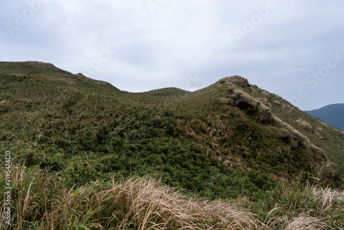 Hiking trail leading to the peak of Mount Qixing, Yangmingshan, Taiwan