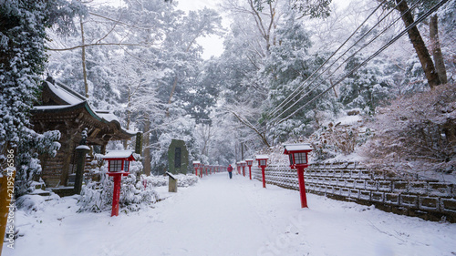 Tapety artystyczne 雪の高尾山登山道