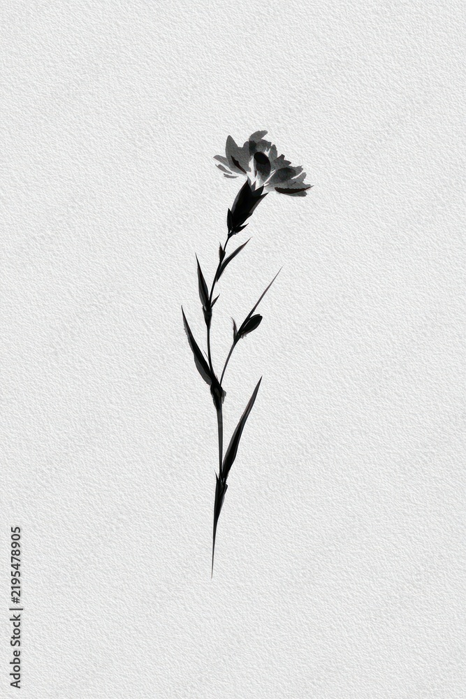 Obraz premium Minimal black flower silhouette on textured white paper, elegant abstract botanical art