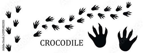 Crocodile Footprint Track and Animal Footprint Vector Set, Reptile Trail Pattern.eps