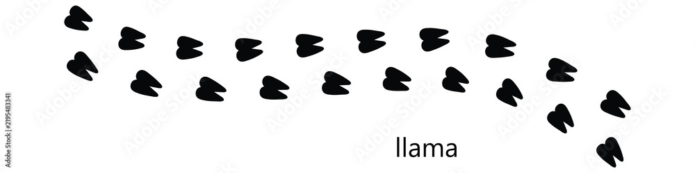 Fototapeta premium Llama Paw Print Track Vector, Animal Footprint and Walking Trail Isolated on White Background.eps