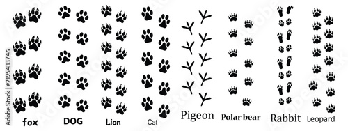 Animal Footprint Track Collection, Fox Dog Lion Cat Pigeon Polar Bear Rabbit and Leopard Paw Print Vector Set.eps