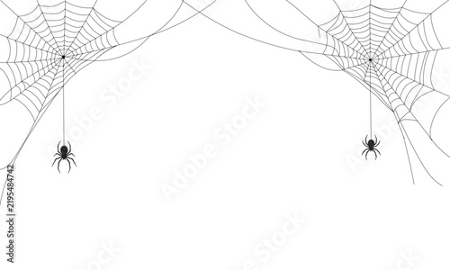 Two hanging spiders on cobwebs isolated on white background