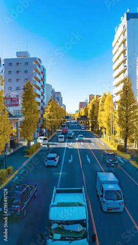 A timelapse of traffic jam at the yellow gingko street in Tokyo