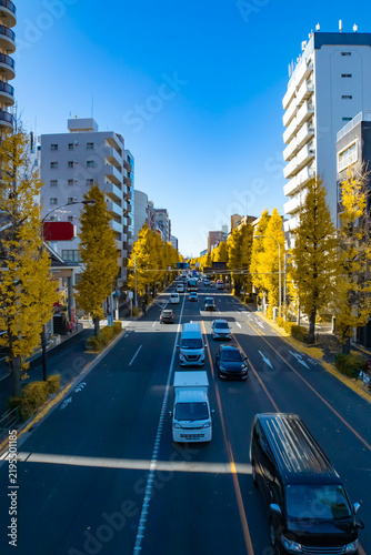 A cityscape of traffic jam at the yellow gingko street in Tokyo wide shot