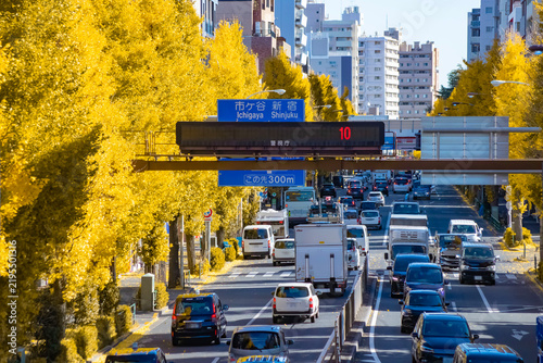 A cityscape of traffic jam at the yellow gingko street in Tokyo