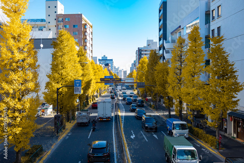 A cityscape of traffic jam at the yellow gingko street in Tokyo wide shot