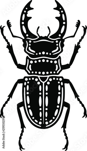 Detailed stag beetle vector illustration isolated on a white background for entomology design projects