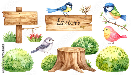 Watercolor set of bushes, stump, wooden sign and cute birds. Colorful isolated collection for your perfect design childish room, wallpapers, cover or baby print, hand-drawn