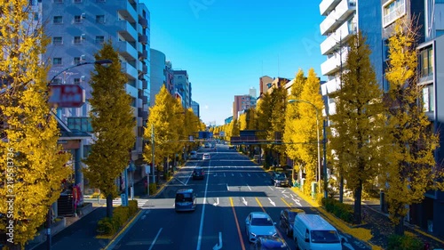 A timelapse of traffic jam at the yellow gingko street in Tokyo wide shot zoom