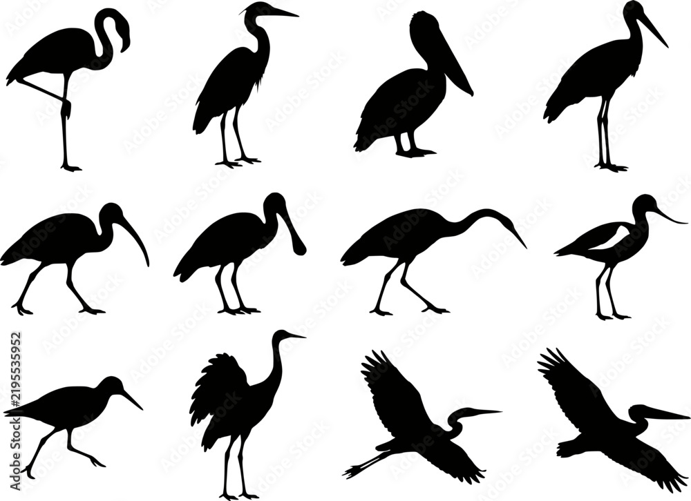 Obraz premium Wading Shore Birds Silhouette Set Vector - Flamingo Heron Pelican Stork Ibis Spoonbill Egret Avocet Crane Sandpiper Flying Icons
