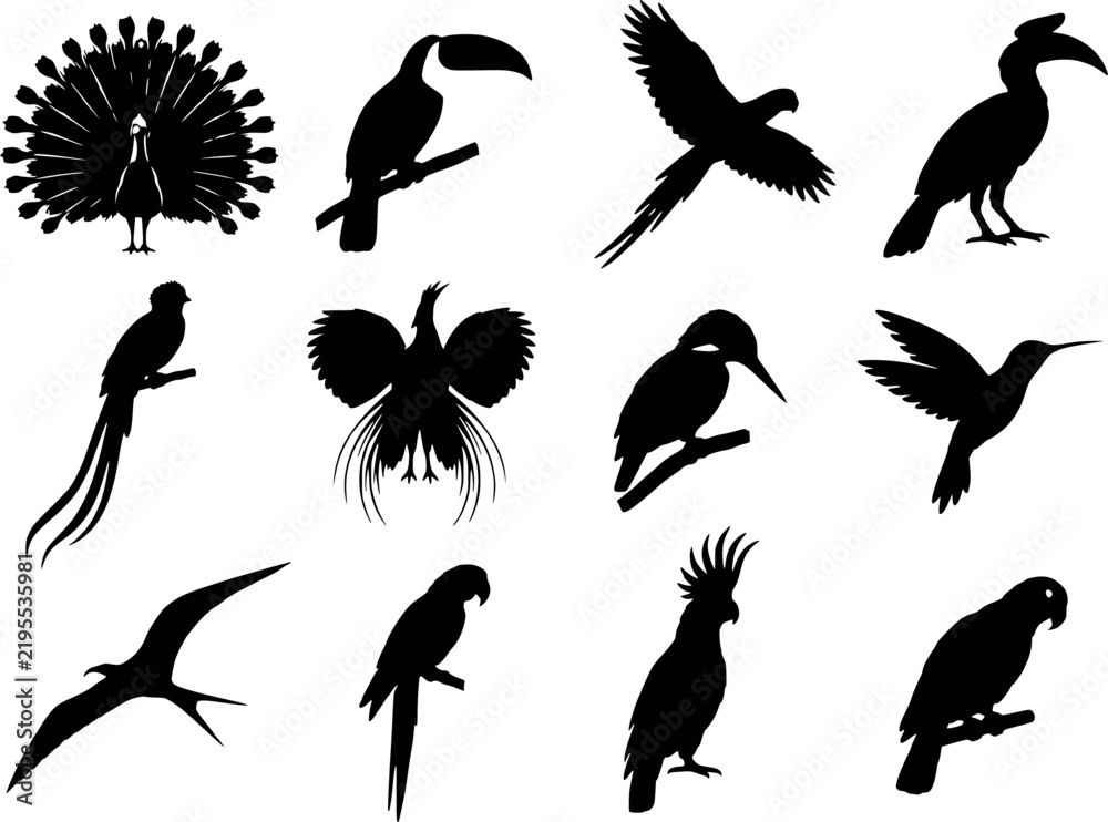 Fototapeta premium Exotic Tropical Birds Silhouette Set Vector - Peacock Toucan Macaw Hornbill Quetzal Bird of Paradise Kingfisher Hummingbird Icons