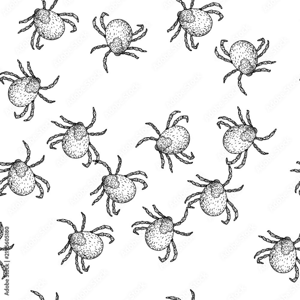 Obraz premium seamless pattern insect tick hand drawn. lyme mite, bite parasite, animal bed insect tick black sketch illustration