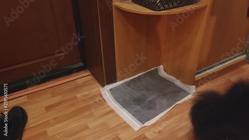 Black dog investigates gray pet mat on wooden floor near entryway, person in polka dot clothing visible in later frames, natural daylight illuminates scene.