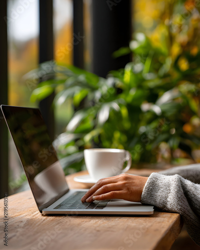 Person Working on Laptop Near Window with Green Plants and Coffee in Cozy Setting
