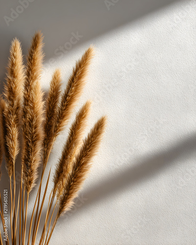 Minimalist Arrangement of Tall Dried Wheat Grass Stalks on Light Wall