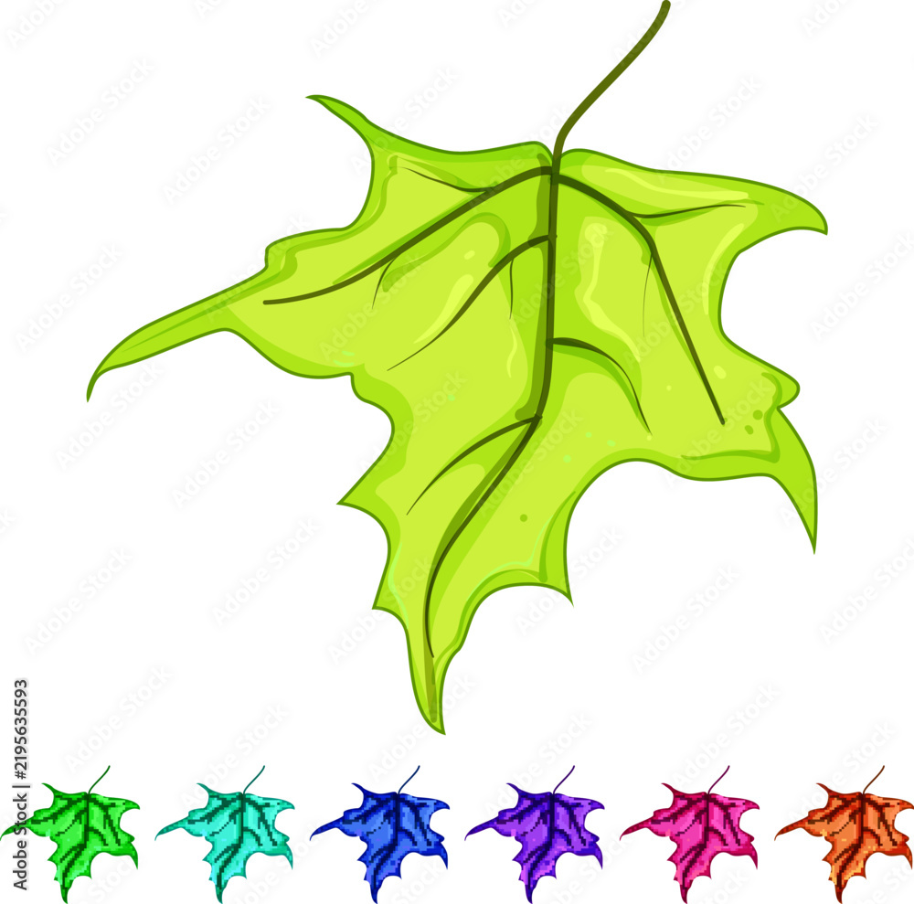 Obraz premium tree maple leaf cartoon. foliage color, season orange, brown green tree maple leaf sign colorful illustration