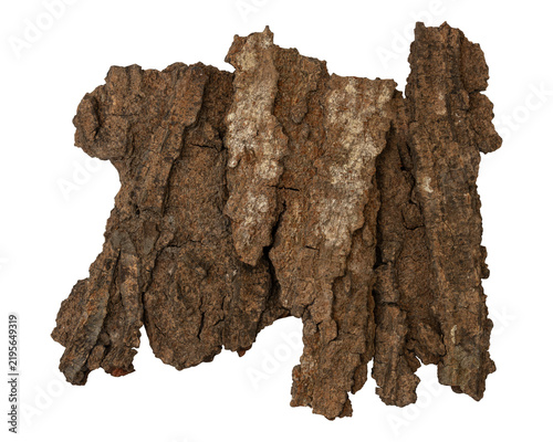 Piece of broken natural dried rustic tree bark isolated on transparent background