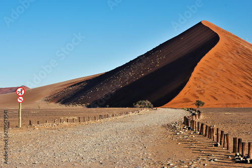 Dune 45 in the Namib Naukluft Desert