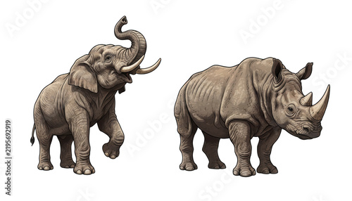 Wild African Elephant and Rhinoceros in Cartoon Style