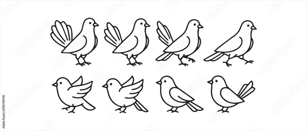 Obraz premium Simple line drawings of birds in various poses