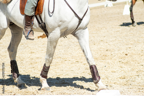 Fotografie White horse legs trotting in sandy arena The Concept of equestrian sport and dre