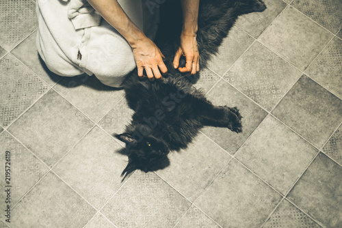 A person with light skin and short hair pets a small black cat on a tiled floor. The cat appears relaxed and playful, enjoying the attention.