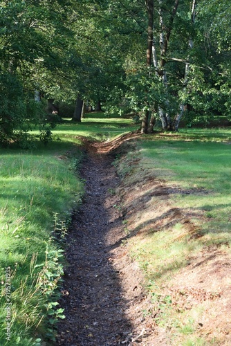 Empty dry stream bed in a sunny summer park.
